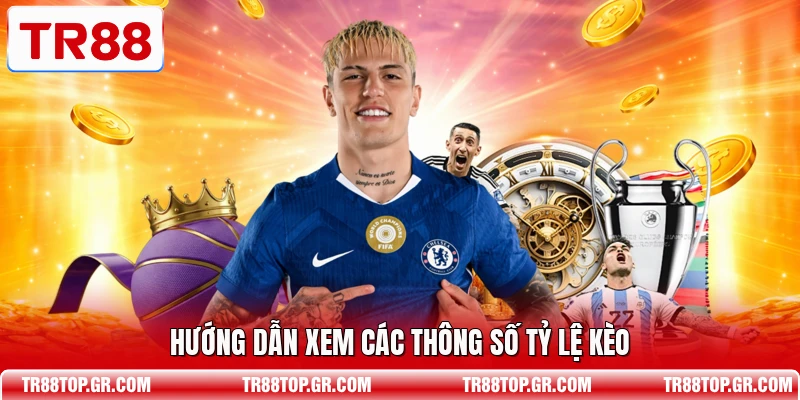 Hướng dẫn xem các thông số tỷ lệ kèo